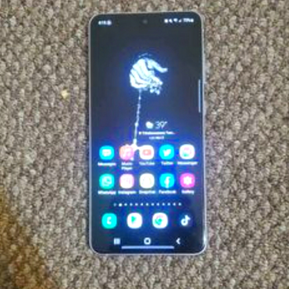 Samsung S21 Fe